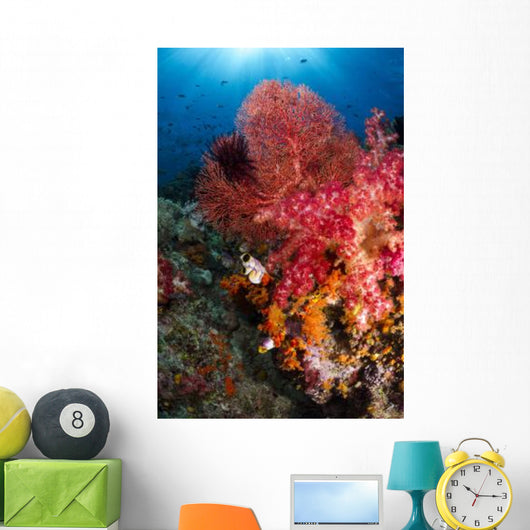 Red Sea Fan and Wall Decal