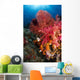 Red Sea Fan and Wall Decal