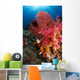 Red Sea Fan and Wall Decal