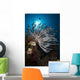 Crinoid Raja Ampat Indonesia Wall Decal