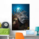 Crinoid Raja Ampat Indonesia Wall Decal