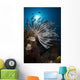 Crinoid Raja Ampat Indonesia Wall Decal