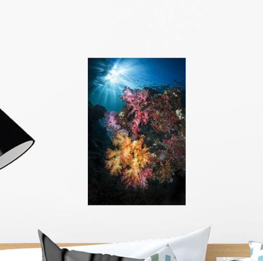 Soft Coral and Sunburst Wall Decal Design 3