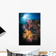 Soft Coral and Sunburst Wall Decal Design 3