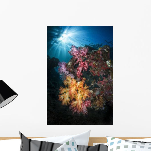 Soft Coral and Sunburst Wall Decal Design 3