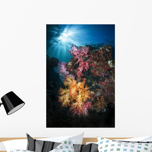 Soft Coral and Sunburst Wall Decal Design 3