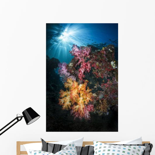 Soft Coral and Sunburst Wall Decal Design 3