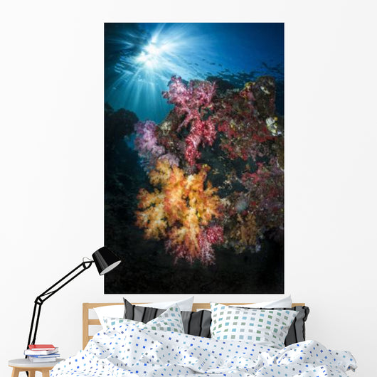 Soft Coral and Sunburst Wall Decal Design 3
