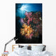 Soft Coral and Sunburst Wall Decal Design 3