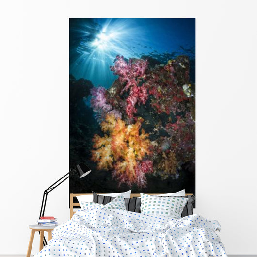 Soft Coral and Sunburst Wall Decal Design 3