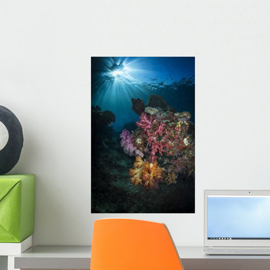 Soft Coral and Sunburst Wall Decal Design 2