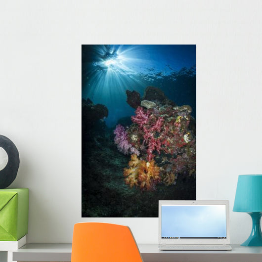 Soft Coral and Sunburst Wall Decal Design 2