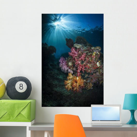 Soft Coral and Sunburst Wall Decal Design 2