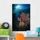 Soft Coral and Sunburst Wall Decal Design 2