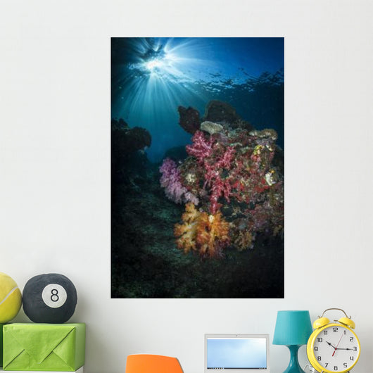 Soft Coral and Sunburst Wall Decal Design 2