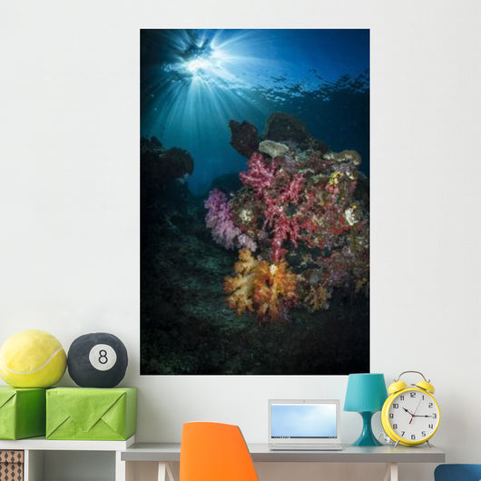 Soft Coral and Sunburst Wall Decal Design 2