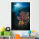 Soft Coral and Sunburst Wall Decal Design 2