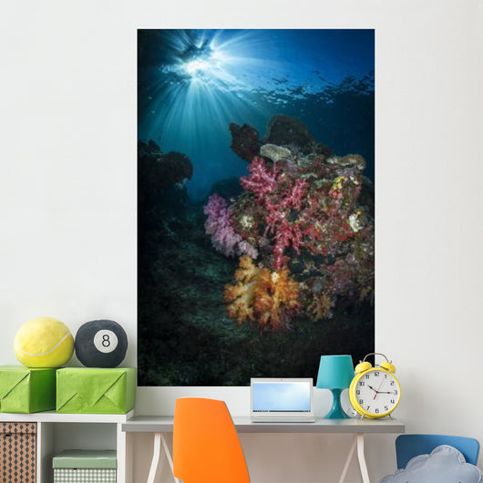 Soft Coral and Sunburst Wall Decal Design 2