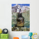 Sea Lion Portrait Los Wall Decal