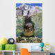 Sea Lion Portrait Los Wall Decal