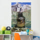 Sea Lion Portrait Los Wall Decal
