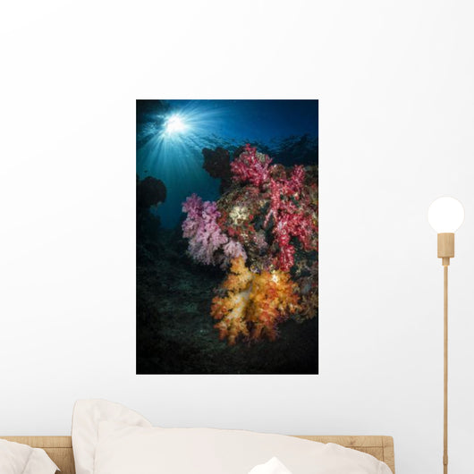 Soft Coral and Sunburst Wall Decal Design 1
