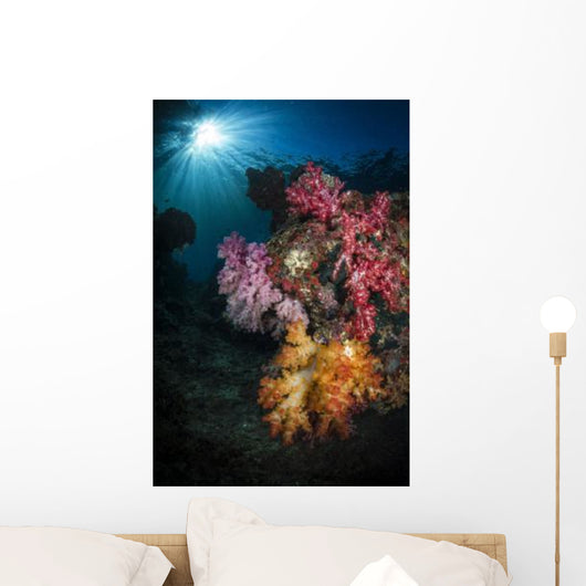 Soft Coral and Sunburst Wall Decal Design 1