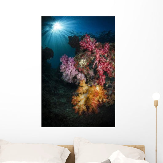 Soft Coral and Sunburst Wall Decal Design 1