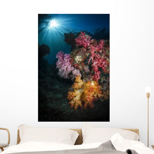 Soft Coral and Sunburst Wall Decal Design 1
