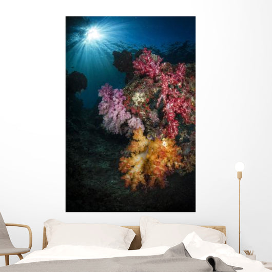 Soft Coral and Sunburst Wall Decal Design 1