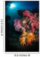 Soft Coral and Sunburst Wall Decal Design 1