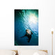California Sea Lion La Wall Decal