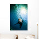 California Sea Lion La Wall Decal