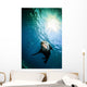 California Sea Lion La Wall Decal