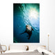 California Sea Lion La Wall Decal
