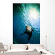 California Sea Lion La Wall Decal