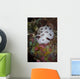 Nudibranch Raja Ampat Indonesia Wall Decal