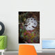 Nudibranch Raja Ampat Indonesia Wall Decal