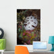 Nudibranch Raja Ampat Indonesia Wall Decal