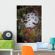 Nudibranch Raja Ampat Indonesia Wall Decal