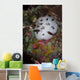 Nudibranch Raja Ampat Indonesia Wall Decal