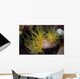 Sea Cups Raja Ampat Wall Decal