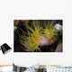 Sea Cups Raja Ampat Wall Decal