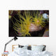 Sea Cups Raja Ampat Wall Decal