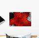 Red Starfish Raja Ampat Wall Decal