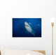 Great White Shark and Wall Decal Design 1