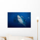Great White Shark and Wall Decal Design 1