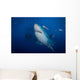 Great White Shark and Wall Decal Design 1