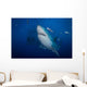 Great White Shark and Wall Decal Design 1