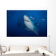 Great White Shark and Wall Decal Design 1